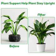 🏆Flash Sale⚡ 50K+ SOLD! Almost Gone-🌿Plant Stem Support Set