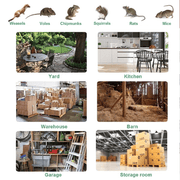 Stainless Steel Automatic Mousetrap