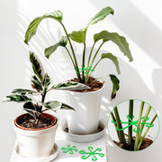 🏆Flash Sale⚡ 50K+ SOLD! Almost Gone-🌿Plant Stem Support Set