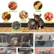 Stainless Steel Automatic Mousetrap