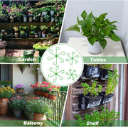 🏆Flash Sale⚡ 50K+ SOLD! Almost Gone-🌿Plant Stem Support Set